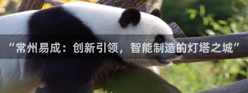 天宏娱乐探索无限空间