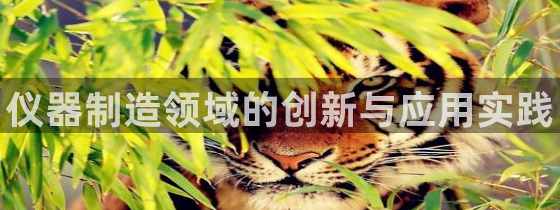 天宏娱乐星空大叔：仪器制造领域的创新与应用实践