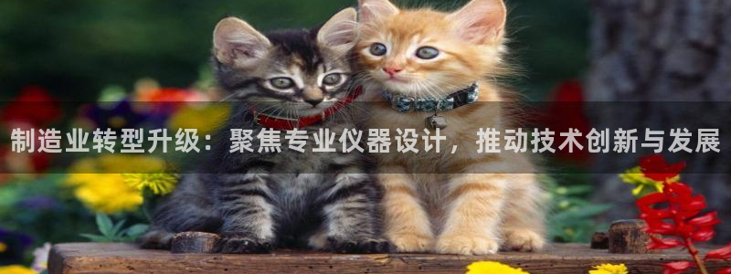 天宏娱乐网站彩票：制造业转型升级：聚焦专业仪器设计，推动技术