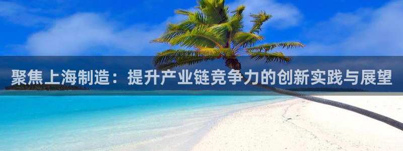 天宏娱乐地址：聚焦上海制造：提升产业链竞争力的创新实践与展望