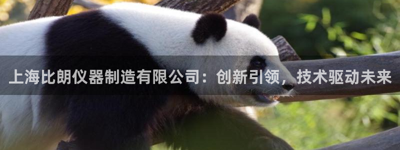 天宏娱乐代理：上海比朗仪器制造有限公司：创新引领，技术驱动未