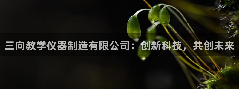 天宏娱乐时时彩：三向教学仪器制造有限公司：创新科技，共创未来