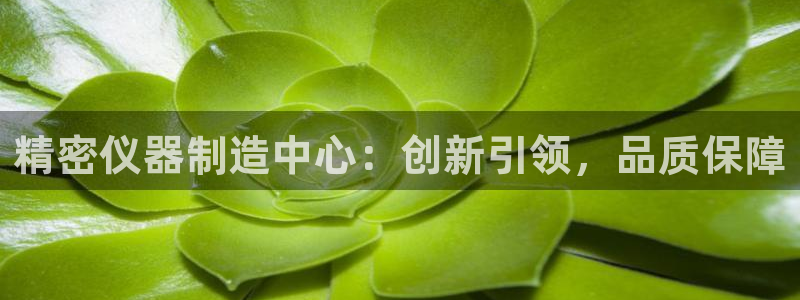 天宏娱乐彩票：精密仪器制造中心：创新引领，品质保障