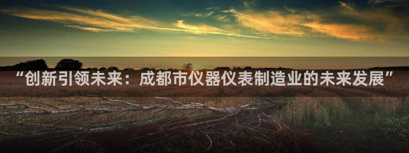 天宏娱乐小号官网首页：“创新引领未来：成都市仪器仪表制造业的