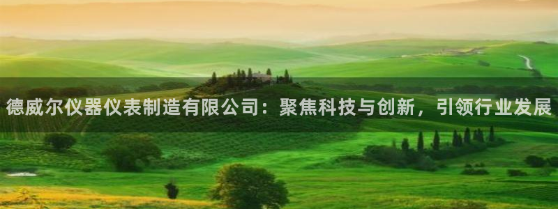 天宏娱乐河源店地址查询：德威尔仪器仪表制造有限公司：聚焦科技