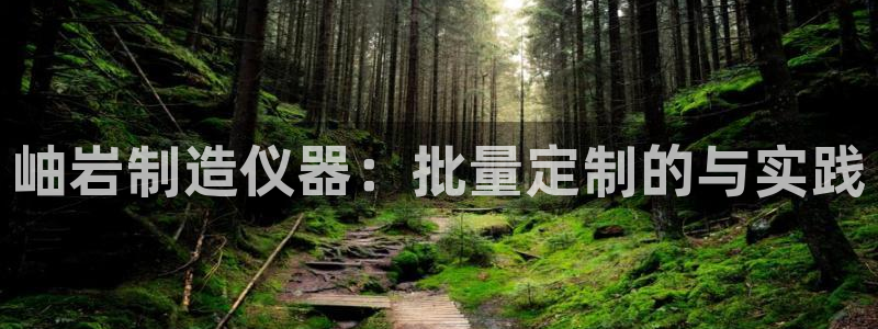 天宏娱乐b 判官：岫岩制造仪器：批量定制的与实践