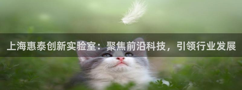 天宏娱乐天府：上海惠泰创新实验室：聚焦前沿科技，引领行业发展