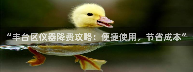 天宏娱乐3：“丰台区仪器降费攻略：便捷使用，节省成本”