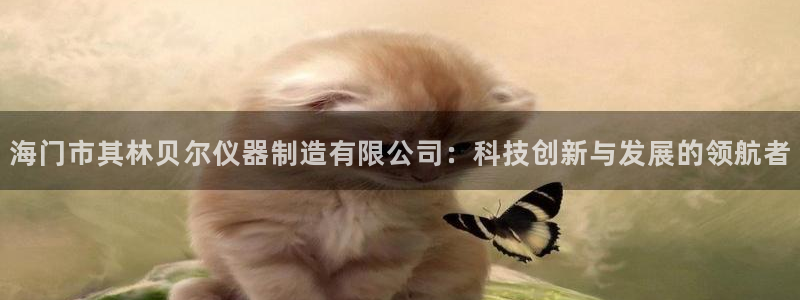 天宏娱乐卢叔：海门市其林贝尔仪器制造有限公司：科技创新与发展