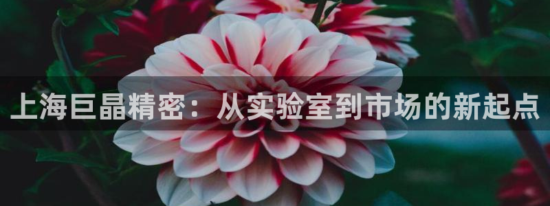 天宏娱乐 网址：上海巨晶精密：从实验室到市场的新起点