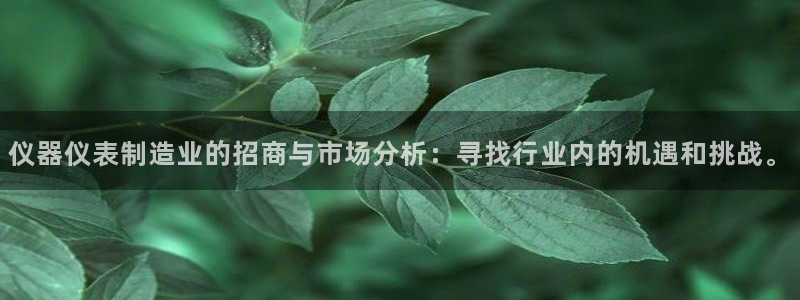 天宏娱乐创始人简介：仪器仪表制造业的招商与市场分析：寻找行业