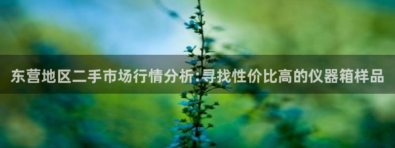 株洲天宏娱乐会所电话：东营地区二手市场行情分析:寻找性价比高