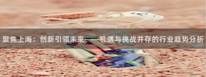 天宏娱乐2主管：聚焦上海：创新引领未来——机遇与挑战并存的行