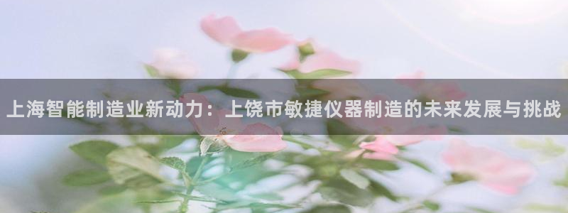 天宏娱乐传媒旗下艺人：上海智能制造业新动力：上饶市敏捷仪器制