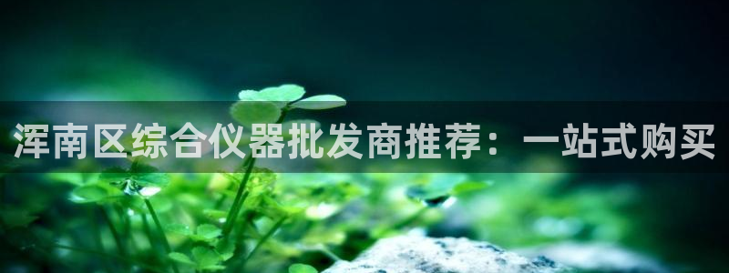 天宏娱乐河源店地址查询：浑南区综合仪器批发商推荐：一站式购买