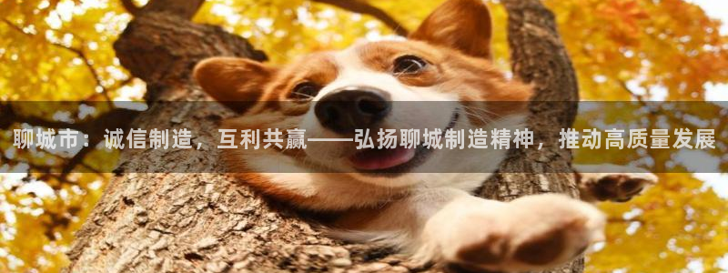 天宏娱乐星歌总部：聊城市：诚信制造，互利共赢——弘扬聊城制造