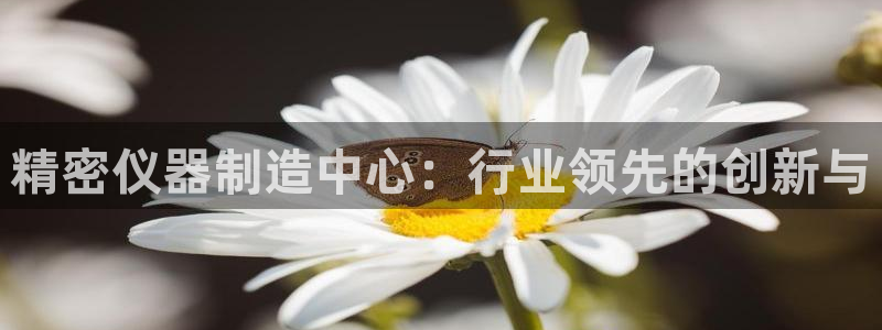 天宏娱乐大叔团队介绍图片：精密仪器制造中心：行业领先的创新与