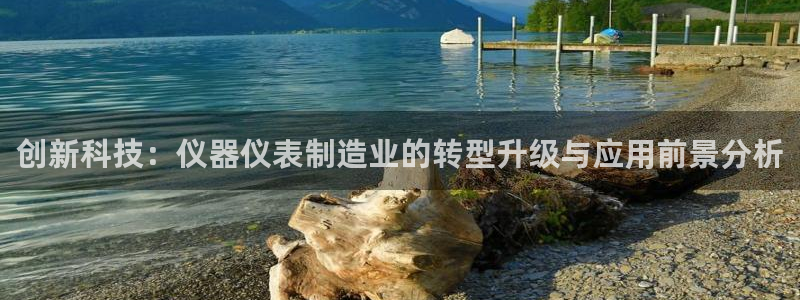 天宏娱乐梁善良：创新科技：仪器仪表制造业的转型升级与应用前景